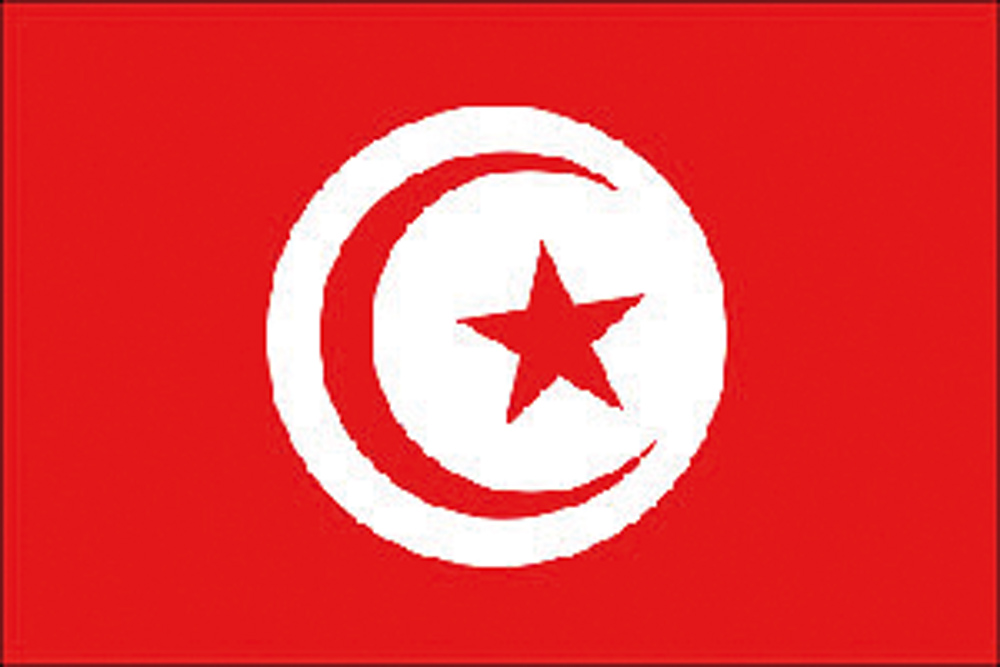 STICKERS DE CARTE MAINS-LIBRES RENAULT DRAPEAU TUNISIE