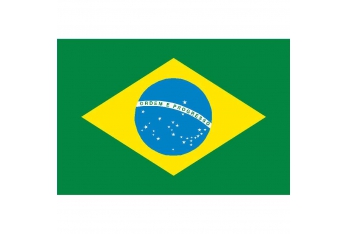 Drapeau Brésil