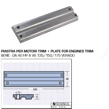 Plaque pour Trim Motors de 40 CV à V6 135150175 Veraldo