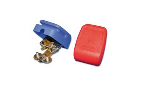 Paire de bornes de batterie