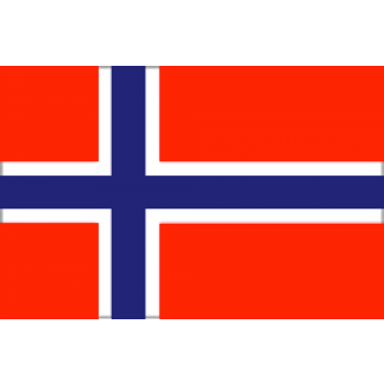 DRAPEAU NORVÈGE 20X30 CM