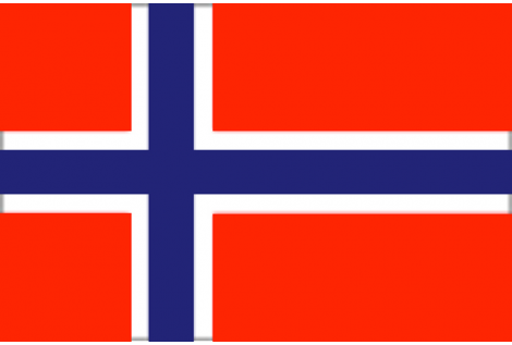 DRAPEAU NORVÈGE 20X30 CM