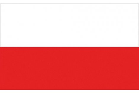 DRAPEAU POLOGNE 20X30 CM