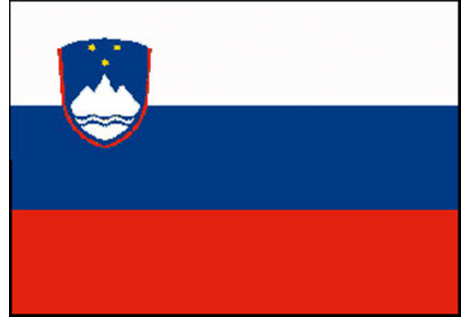 DRAPEAU SLOVÉNIE 20X30 CM