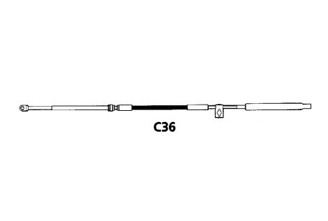 C36 10' CABLE