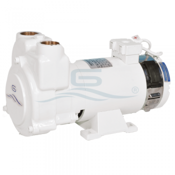 Pompe électrique Gianneschi CB