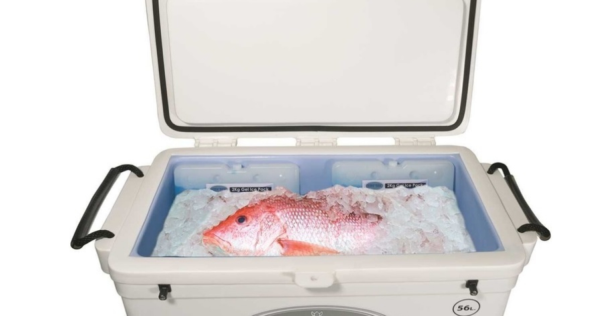 Icebox professionnel Ice-tek 56 Litres - Glacières Icey-Tek - MTO