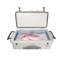 Icebox professionnel Ice-tek 56 Litres