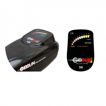 Installation sévère de Gibsun Electric Motors