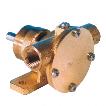 POMPE PM15